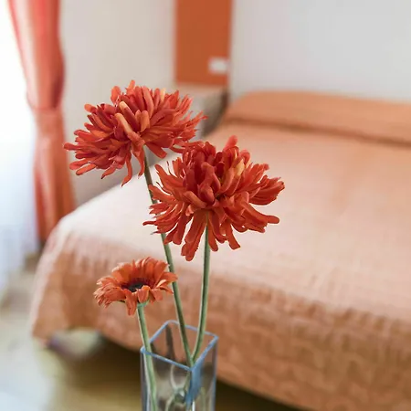 招待所 Colosseo In 罗马