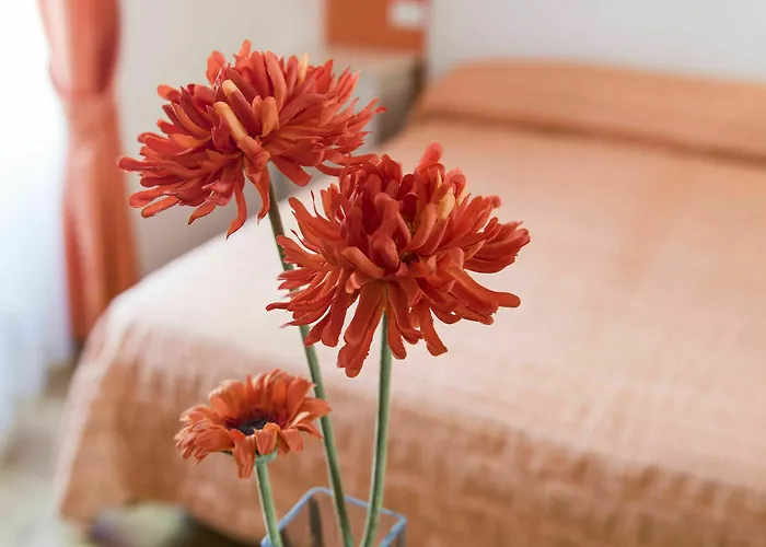 Πανσιόν Colosseo In Ρώμη